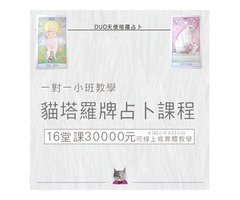 貓塔羅牌占卜課程一對一小班教學 可線上或實體教學16堂課30000元