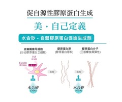 高效美學保健養身術華莘生醫 Top5